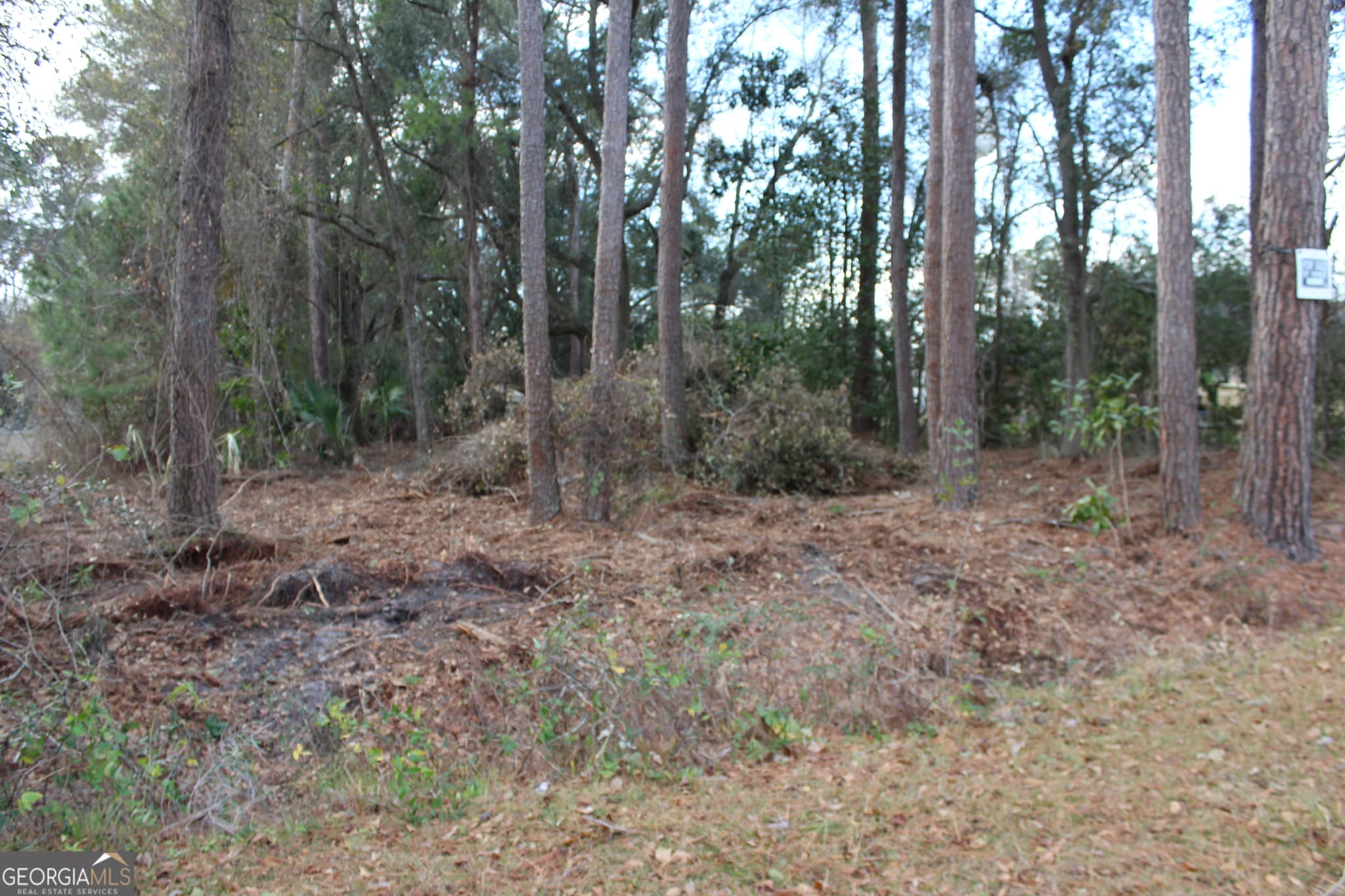 residential lot for sale at 0 Lott Street, Lenox, GA 31637 — photo 2