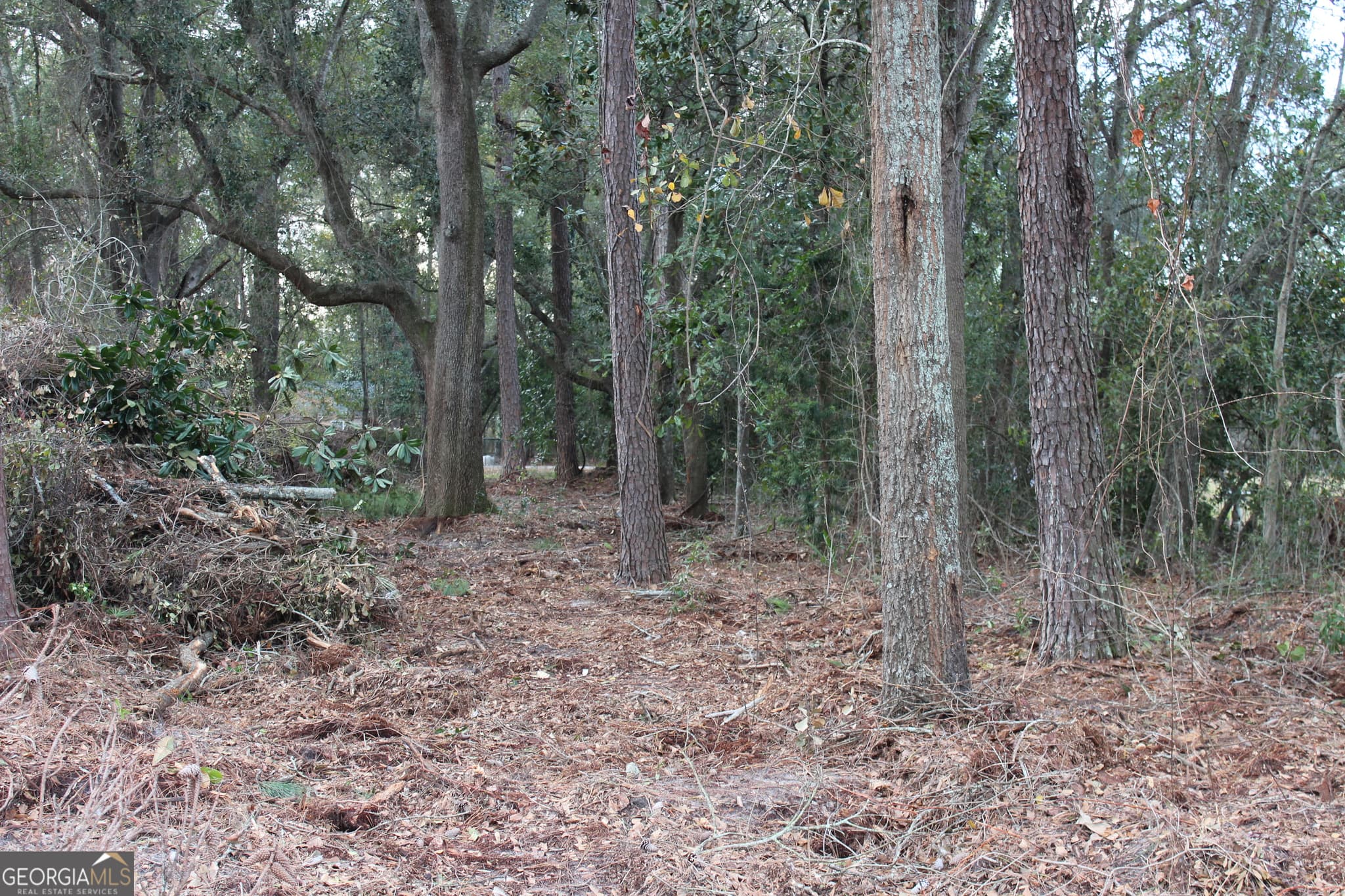 residential lot for sale at 0 Lott Street, Lenox, GA 31637 — photo 3