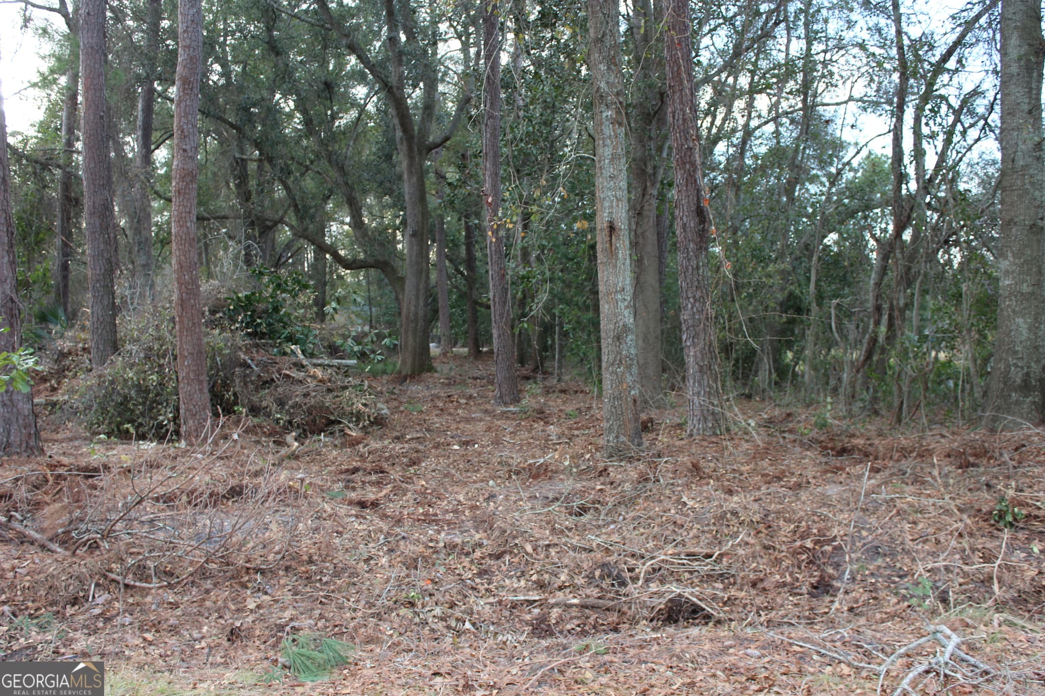 residential lot for sale at 0 Lott Street, Lenox, GA 31637