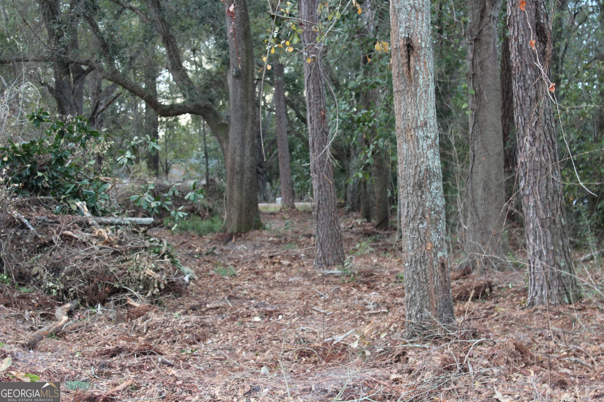 residential lot for sale at 0 Lott Street, Lenox, GA 31637 — photo 4