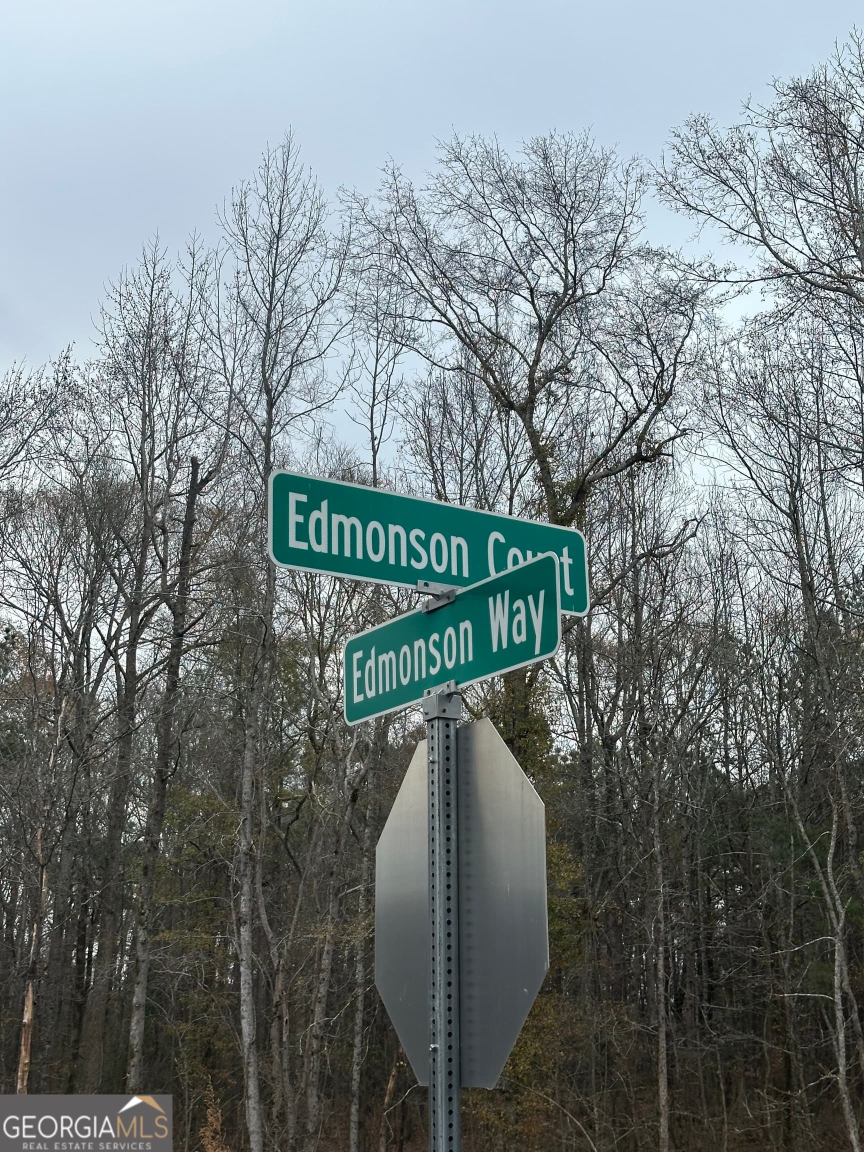 estate lot for sale at 209 EDMONSON Court, Stockbridge, GA 30281 — photo 2