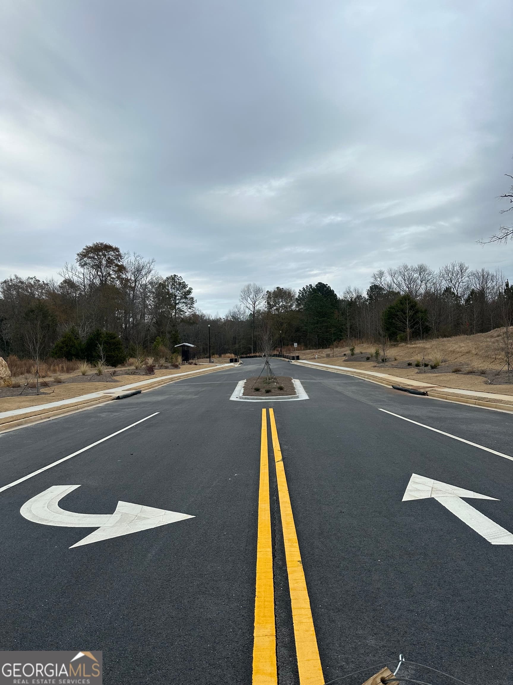 estate lot for sale at 209 EDMONSON Court, Stockbridge, GA 30281 — photo 3