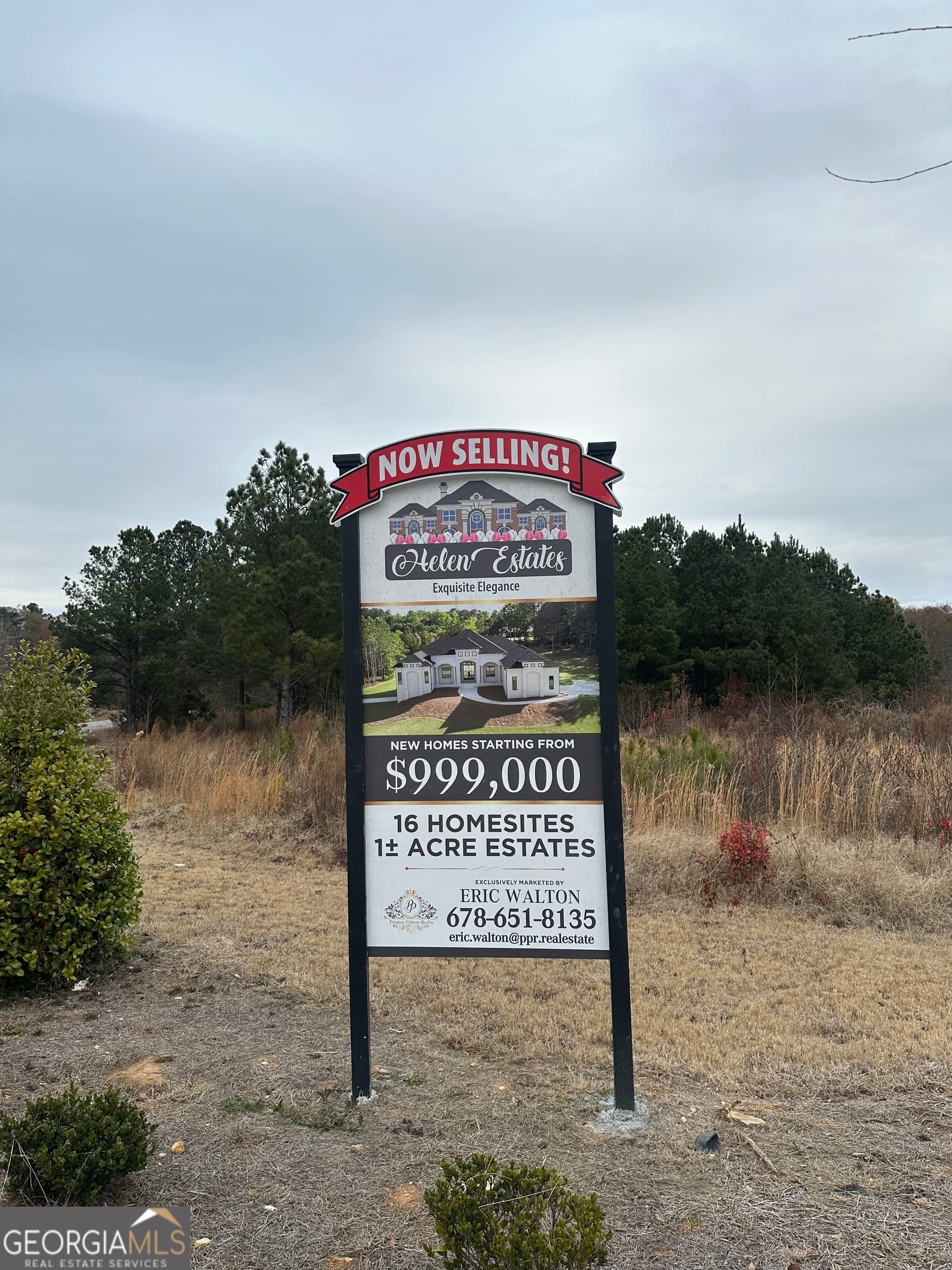 estate lot for sale at 209 EDMONSON Court, Stockbridge, GA 30281 — photo 8