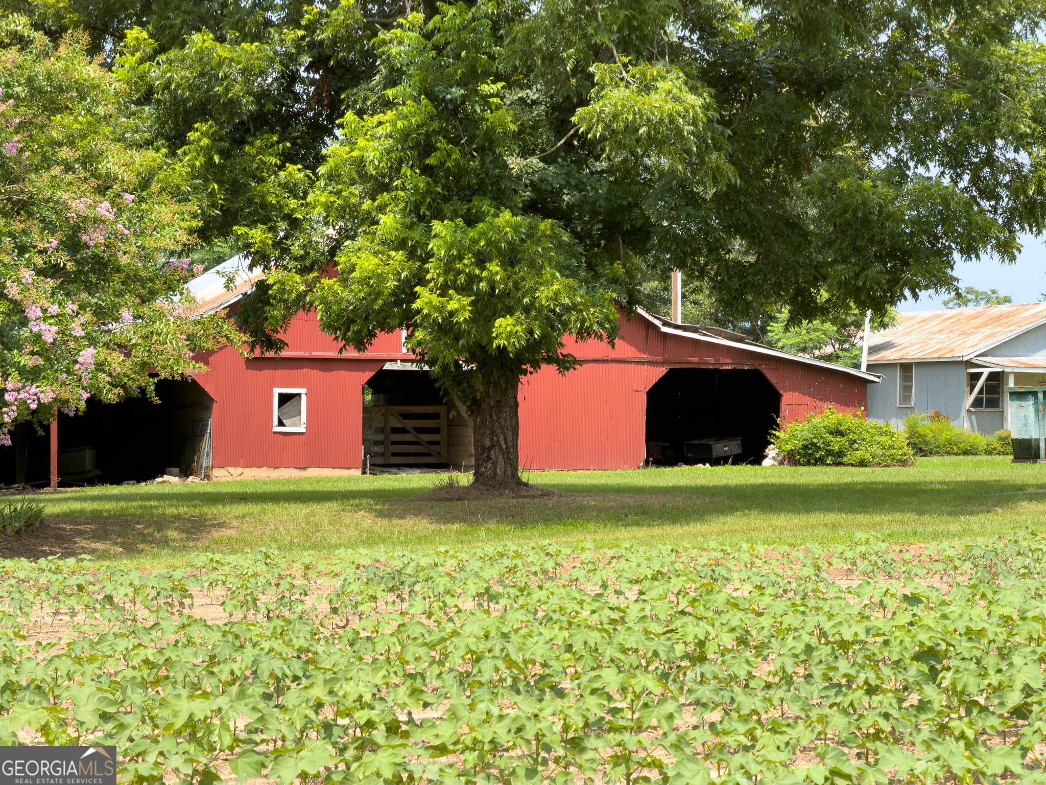 1300 Terry Drive, Stapleton, GA 30823 — most recent listing photo