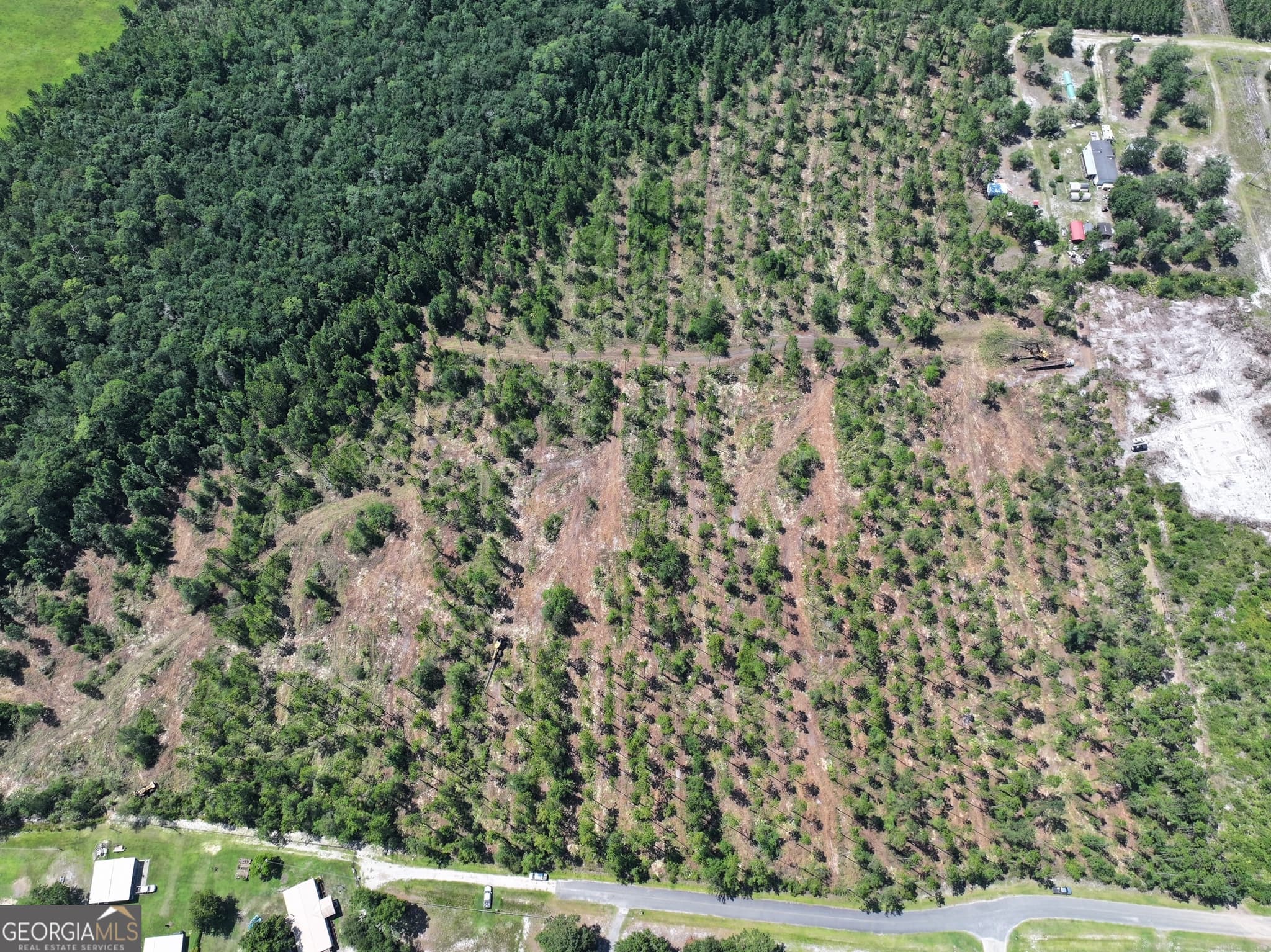 unimproved land for sale at 0 Robin Lane, Homeland, GA 31537 — photo 2