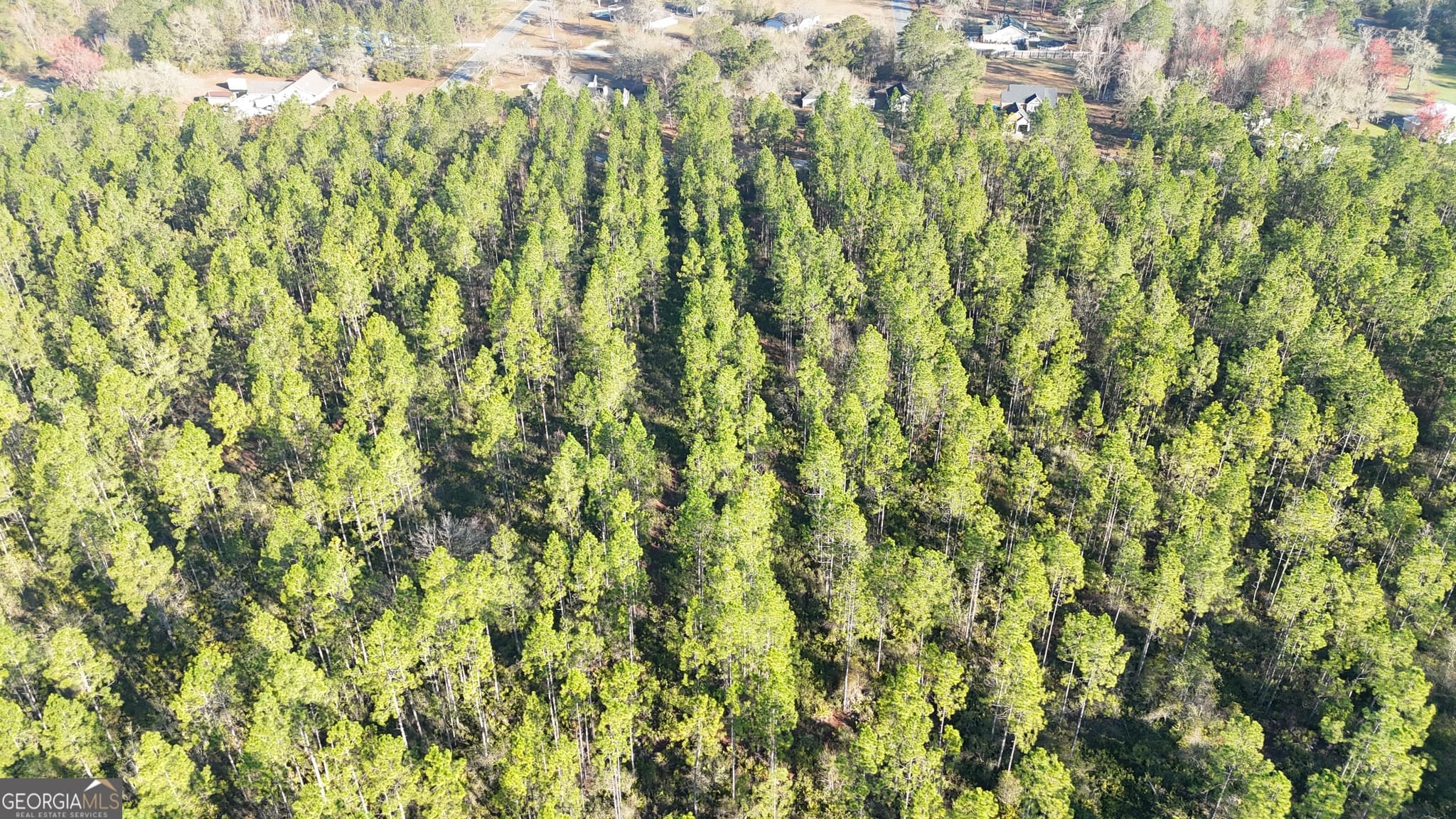 unimproved land for sale at 0 Robin Lane, Homeland, GA 31537 — photo 5