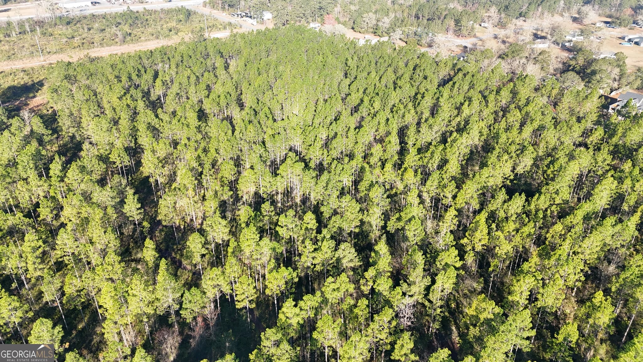 unimproved land for sale at 0 Robin Lane, Homeland, GA 31537 — photo 4