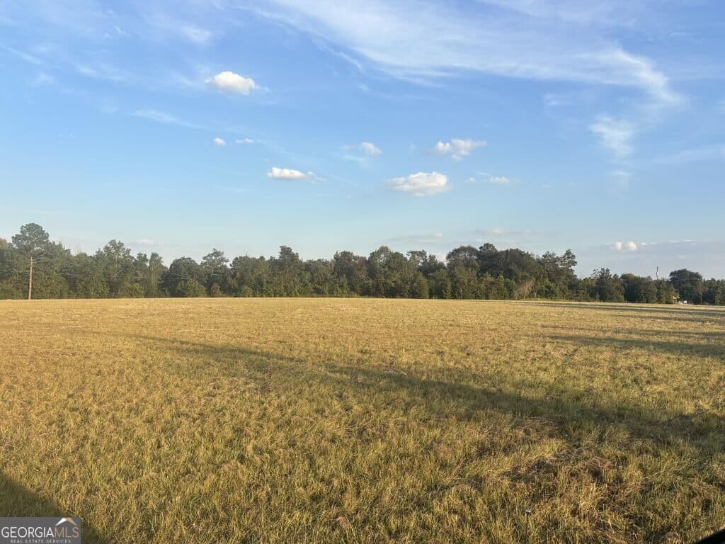 agriculture for sale at 63 HAYES Road, Mauk, GA 31058 — photo 2