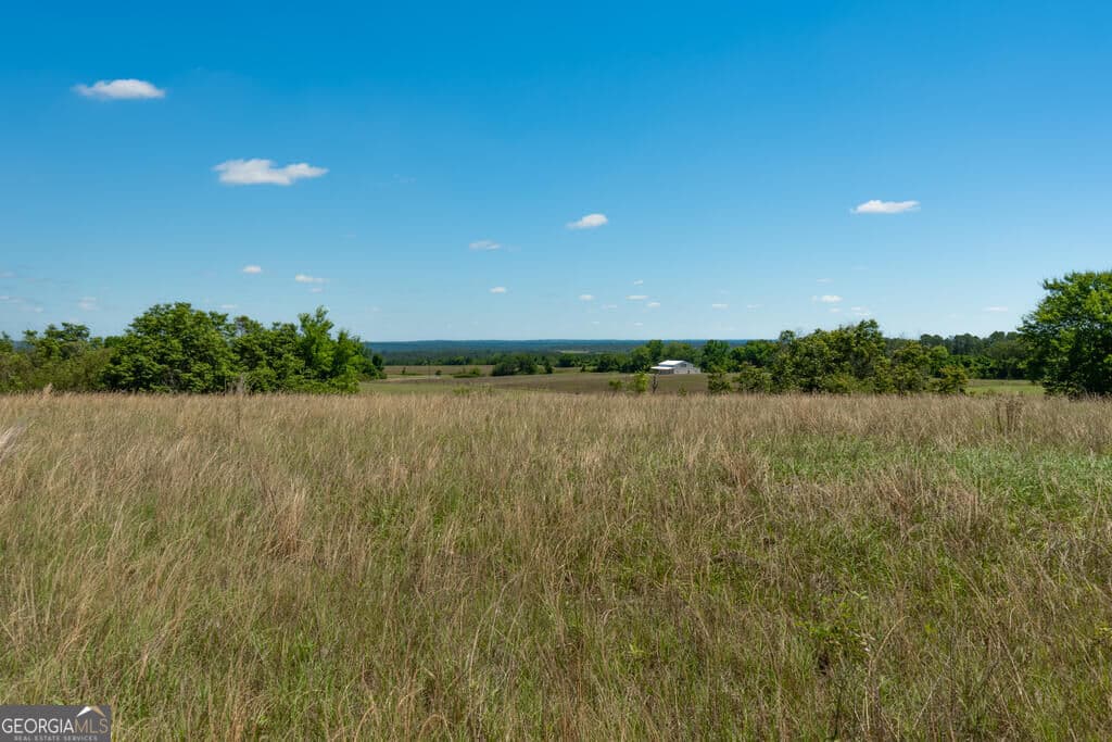 agriculture for sale at 63 HAYES Road, Mauk, GA 31058 — photo 7