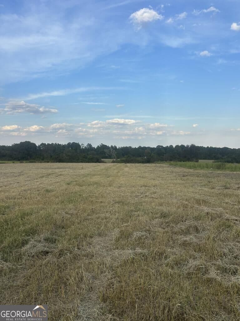 agriculture for sale at 63 HAYES Road, Mauk, GA 31058 — photo 10