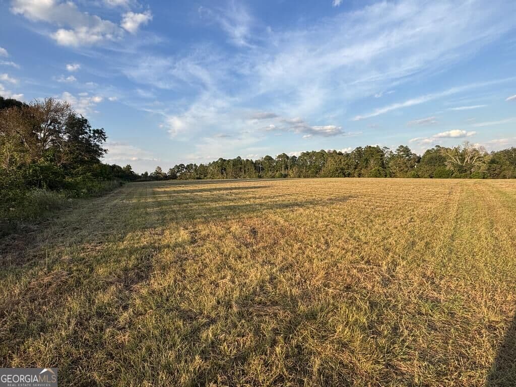 agriculture for sale at 63 HAYES Road, Mauk, GA 31058 — photo 4
