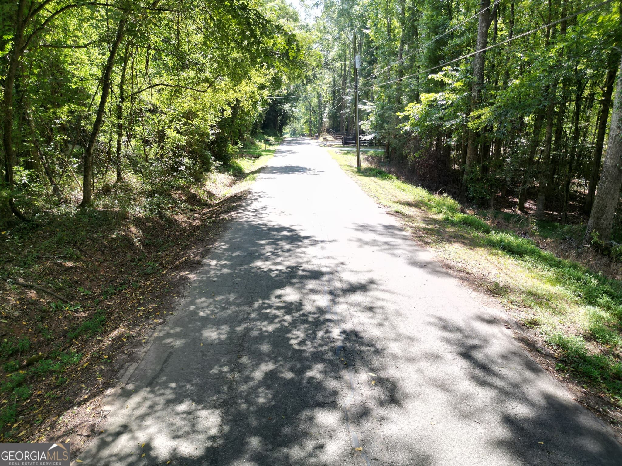 residential lot for sale at 1160 Saffold Road, Buckhead, GA 30625 — photo 2
