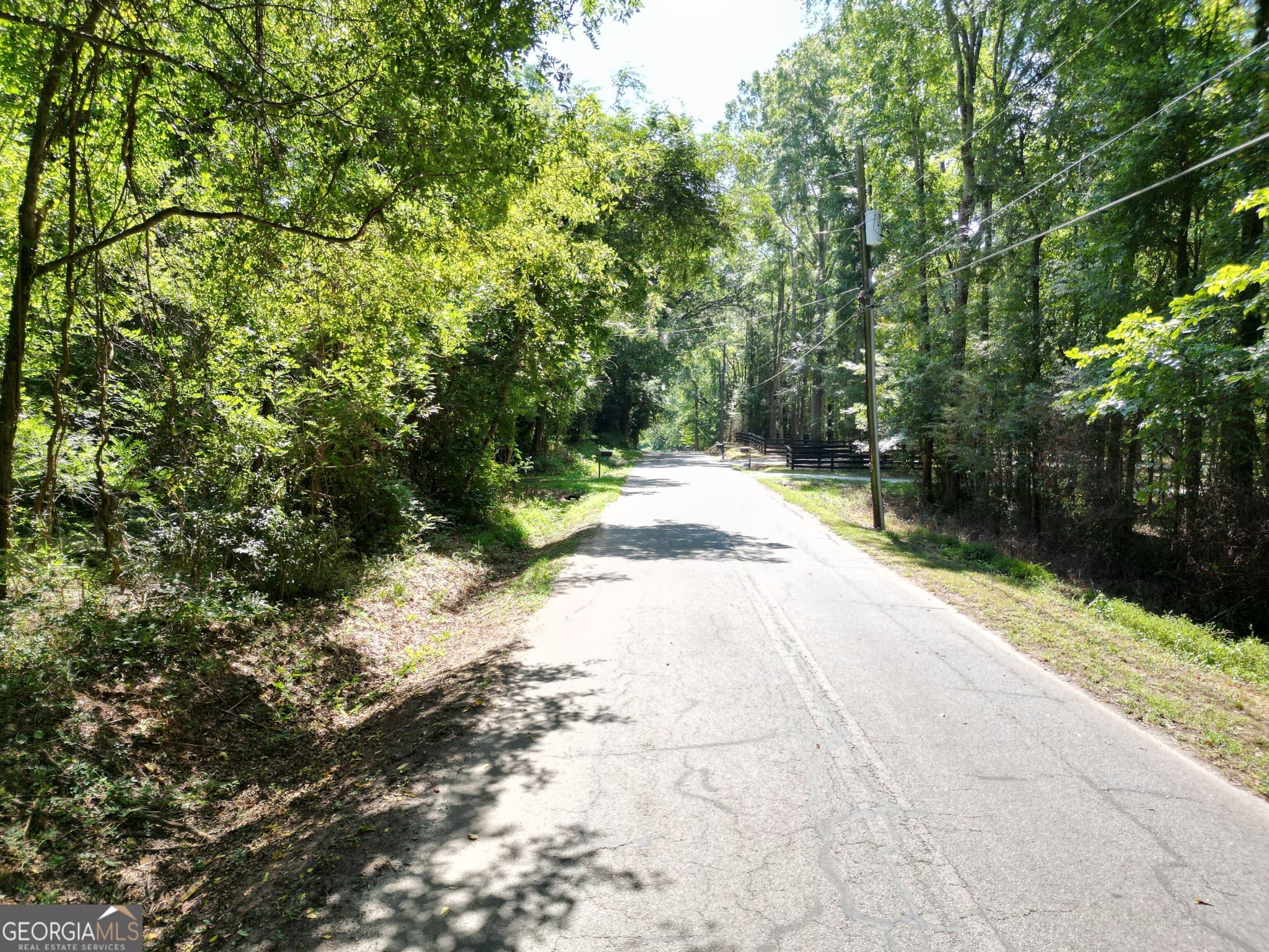 residential lot for sale at 1160 Saffold Road, Buckhead, GA 30625 — photo 5