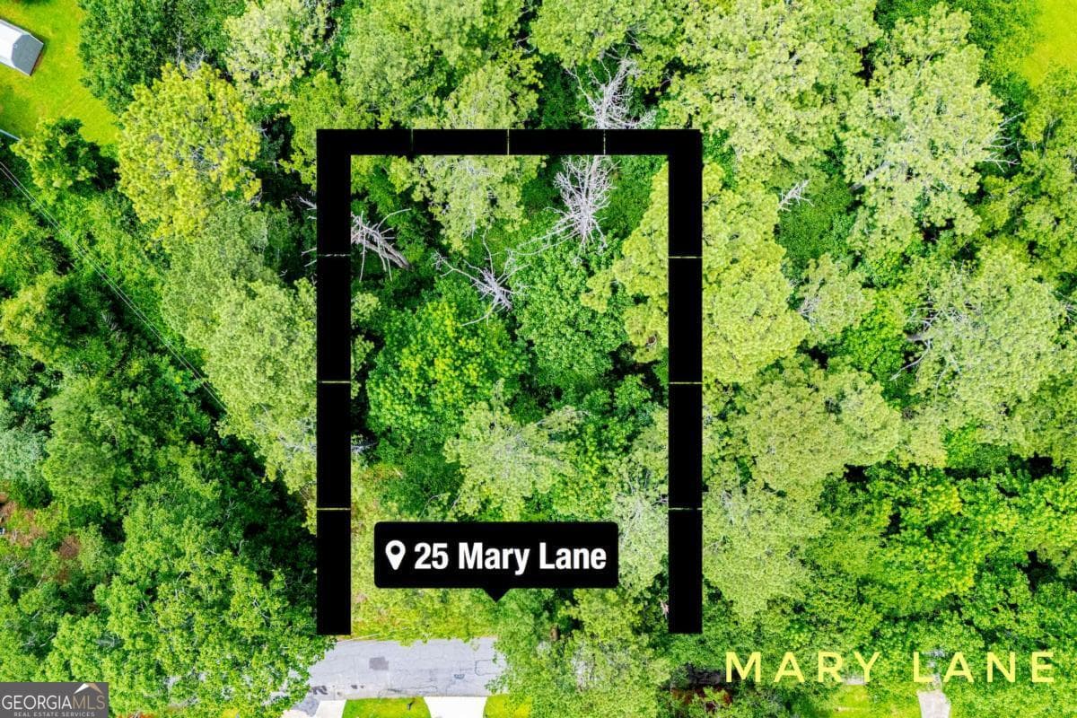 residential lot for sale at 0 Pleasant Ridge Church Road, Carrollton, GA 30117 — photo 4