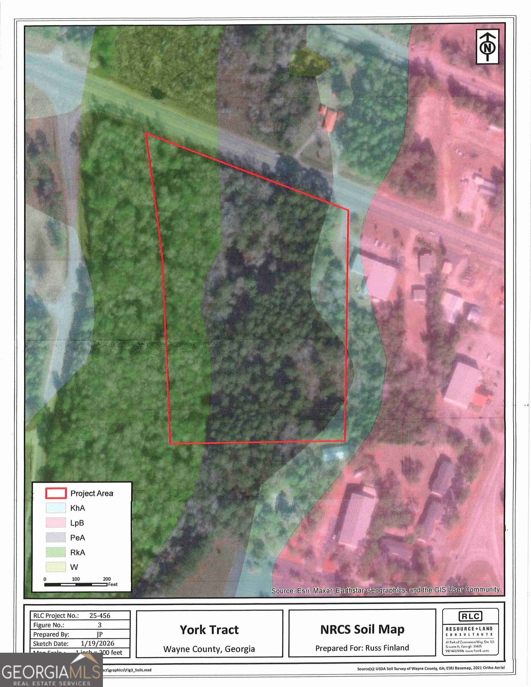 unimproved land for sale at 0 S Ga Hwy 341, Jesup, GA 31545 — photo 6