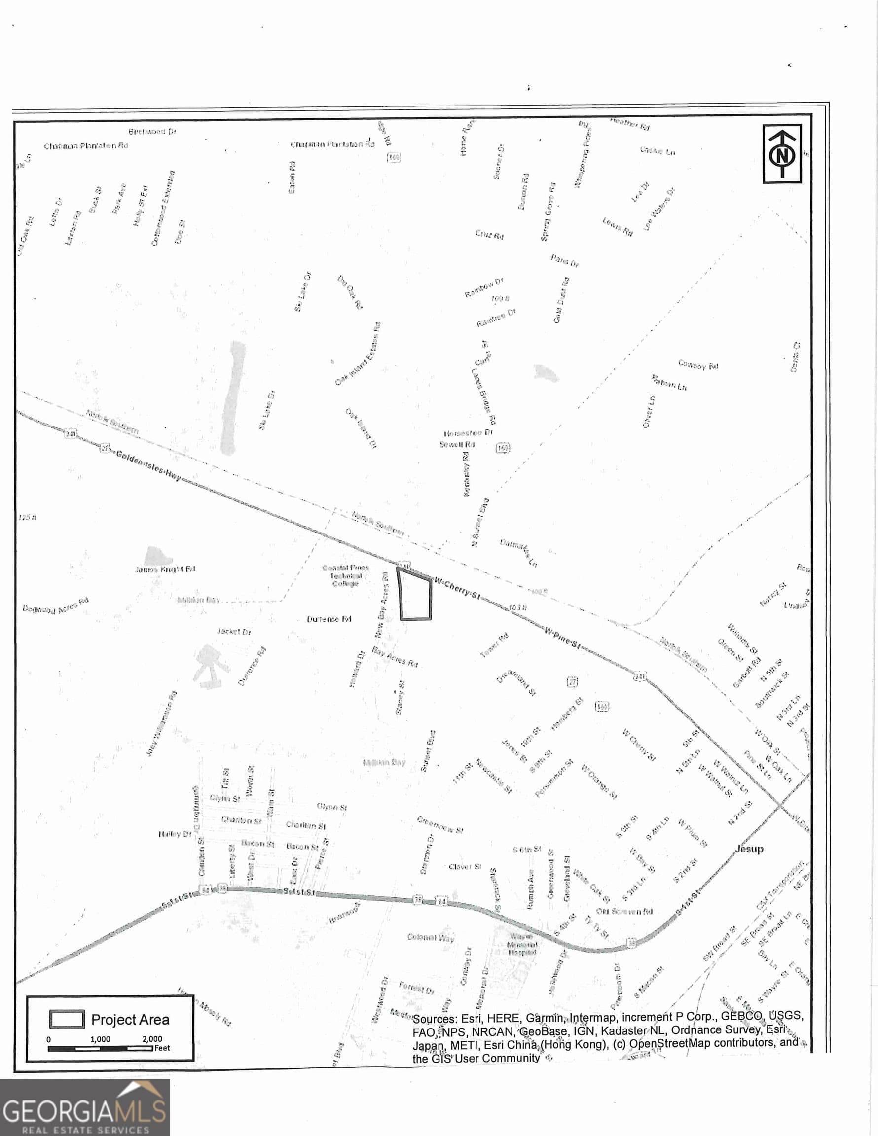 unimproved land for sale at 0 S Ga Hwy 341, Jesup, GA 31545 — photo 3