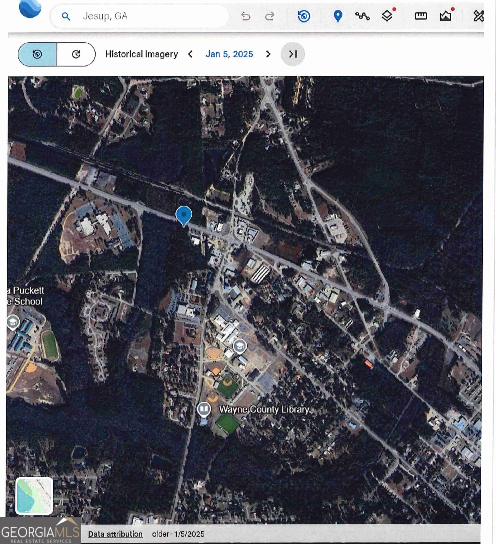unimproved land for sale at 0 S Ga Hwy 341, Jesup, GA 31545 — photo 5