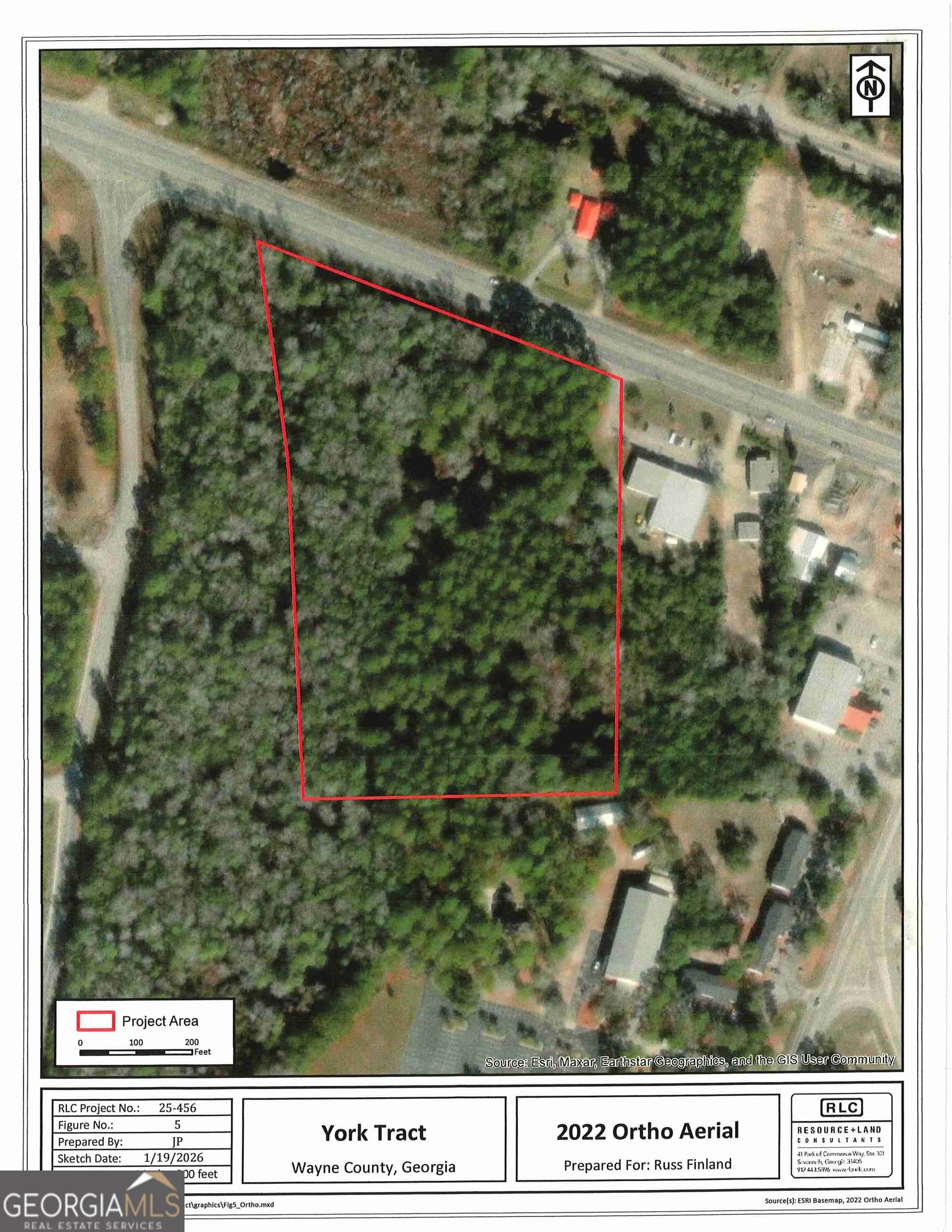 unimproved land for sale at 0 S Ga Hwy 341, Jesup, GA 31545 — photo 9