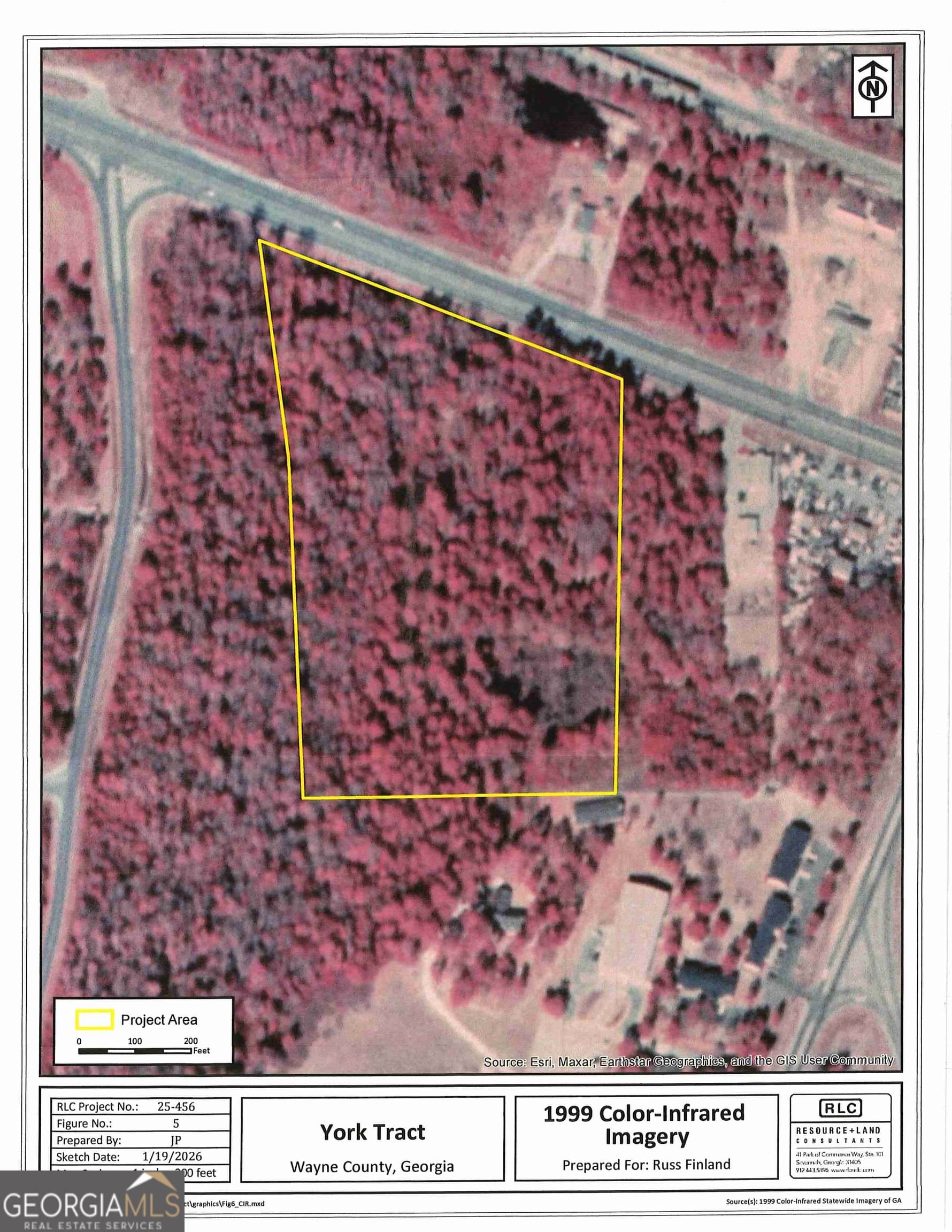 unimproved land for sale at 0 S Ga Hwy 341, Jesup, GA 31545 — photo 10