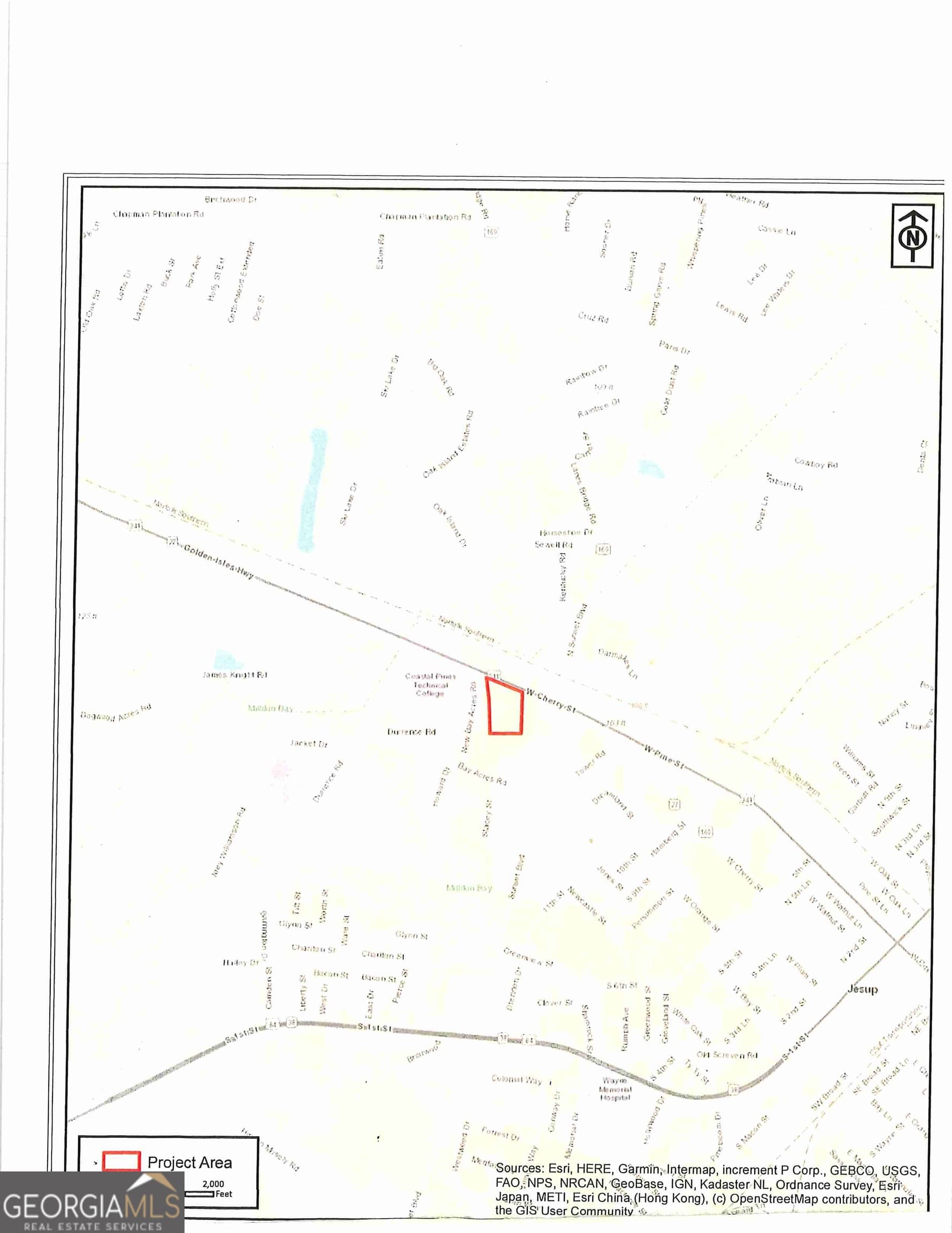 unimproved land for sale at 0 S Ga Hwy 341, Jesup, GA 31545 — photo 4