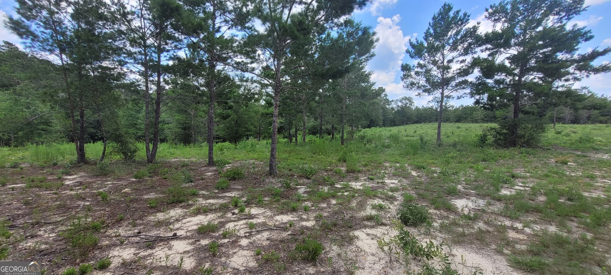 unimproved land for sale at 10.29 ACRES Holmes Valley Road, Vernon, FL 32462 — photo 3