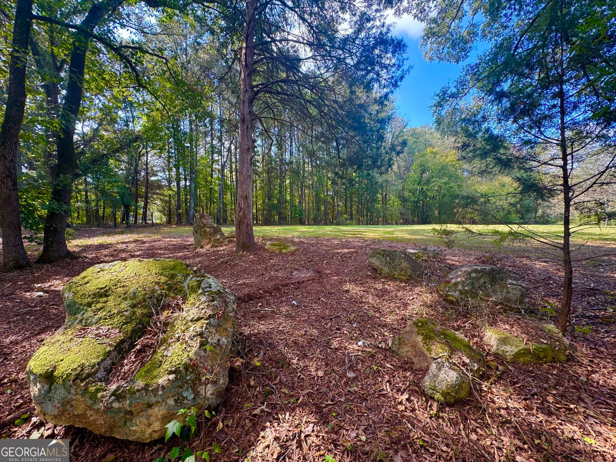 residential lot for sale at 17 Farm Road, Taylorsville, GA 30178 — photo 7