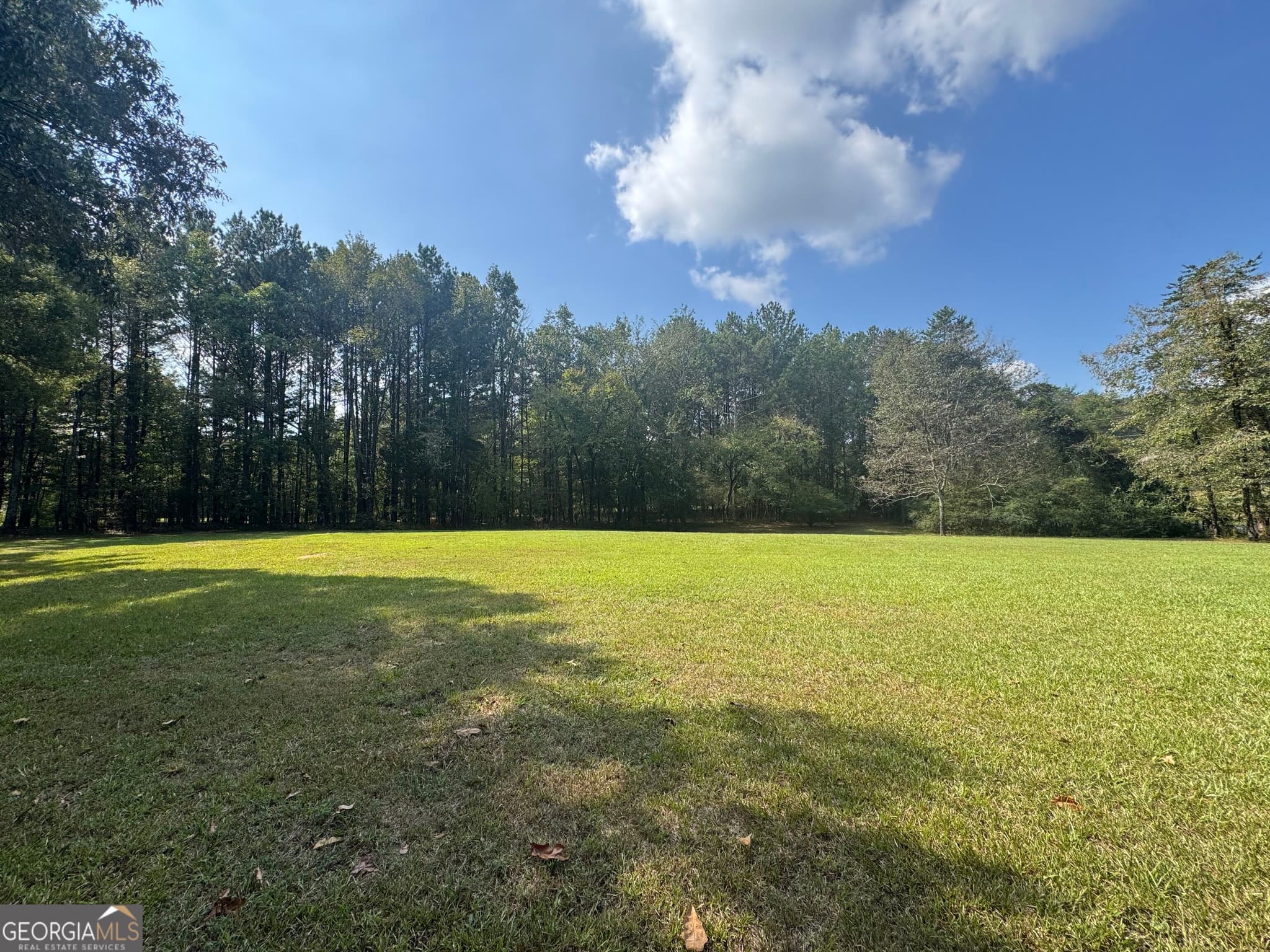 residential lot for sale at 17 Farm Road, Taylorsville, GA 30178 — photo 5