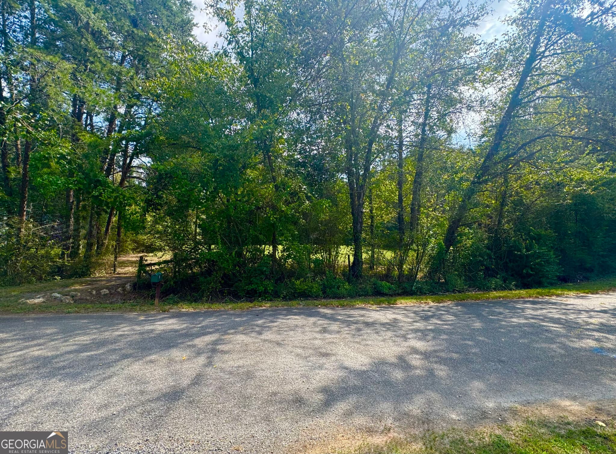 residential lot for sale at 17 Farm Road, Taylorsville, GA 30178 — photo 10