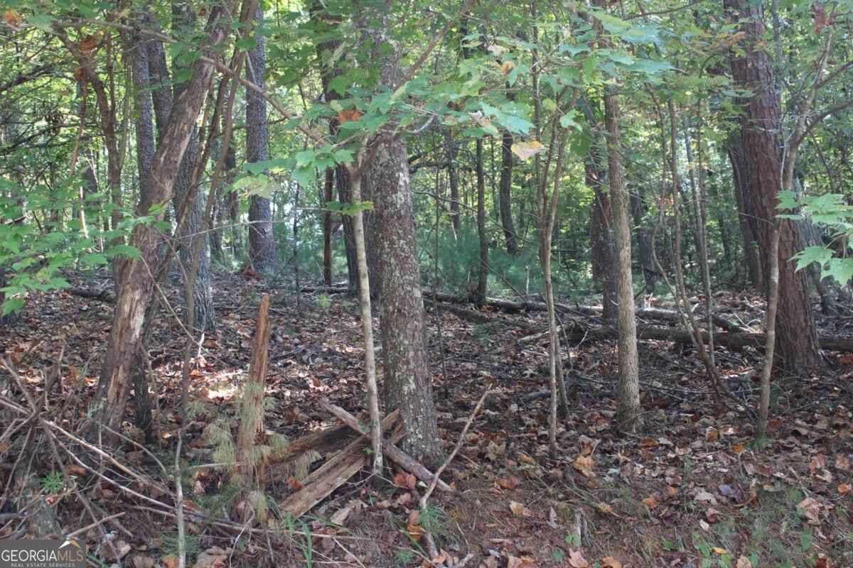 residential lot for sale at LOT 16R Leatherwood Mountain Road, Cherry Log, GA 30522 — photo 2