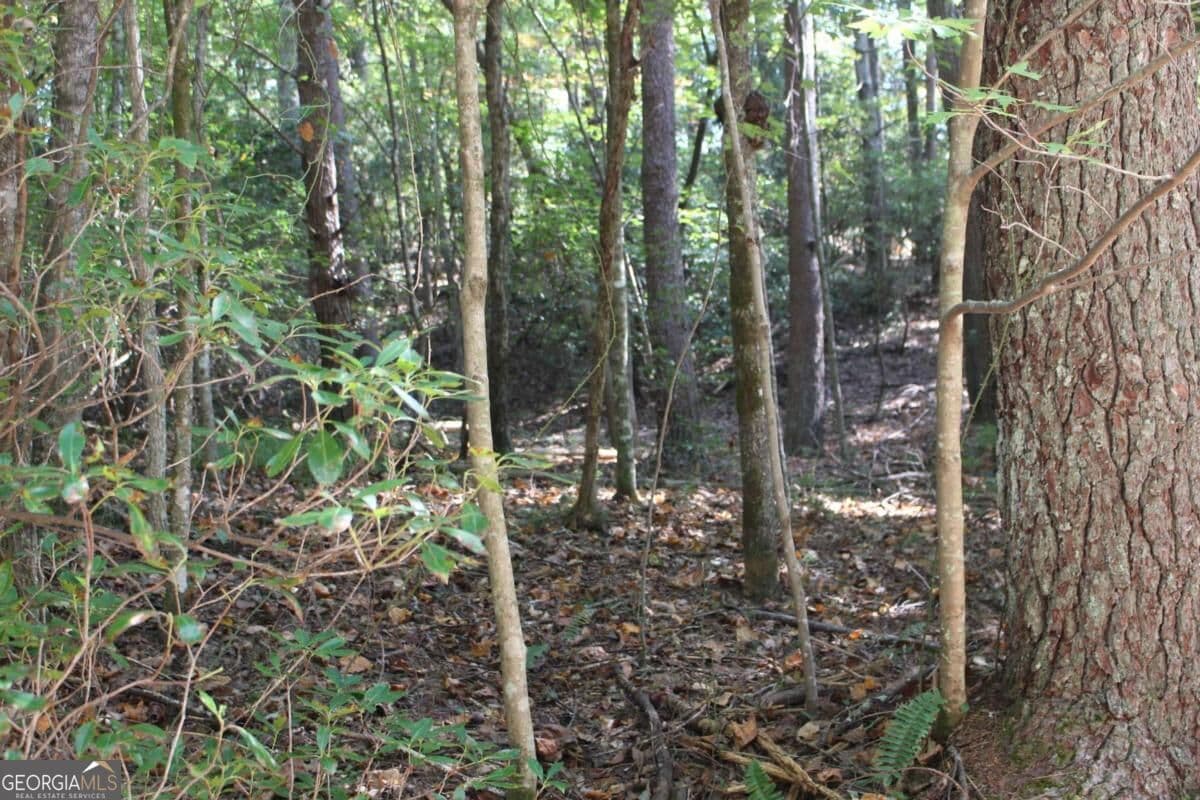 residential lot for sale at LOT 16R Leatherwood Mountain Road, Cherry Log, GA 30522 — photo 6