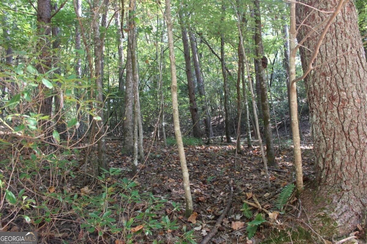residential lot for sale at LOT 16R Leatherwood Mountain Road, Cherry Log, GA 30522 — photo 7