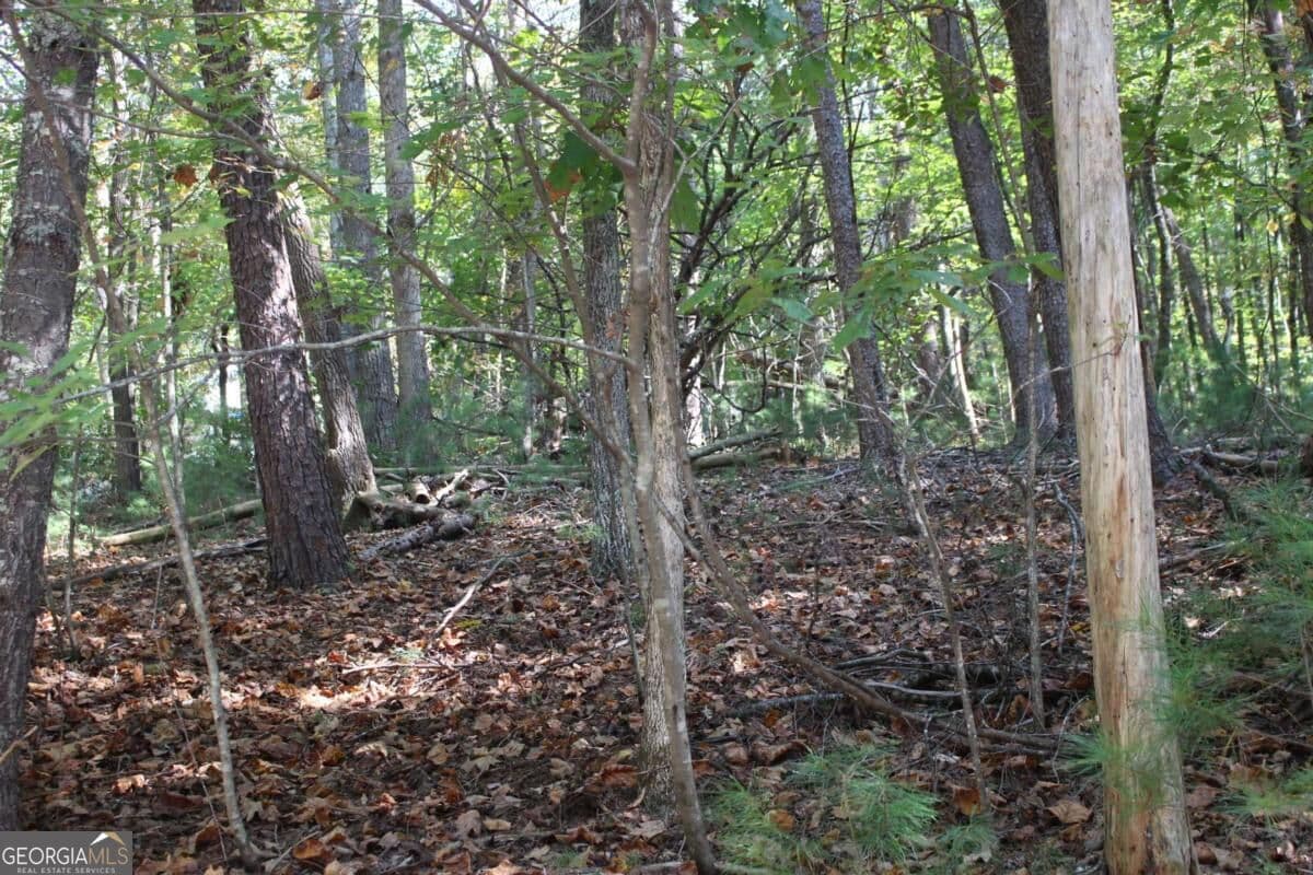residential lot for sale at LOT 16R Leatherwood Mountain Road, Cherry Log, GA 30522 — photo 3