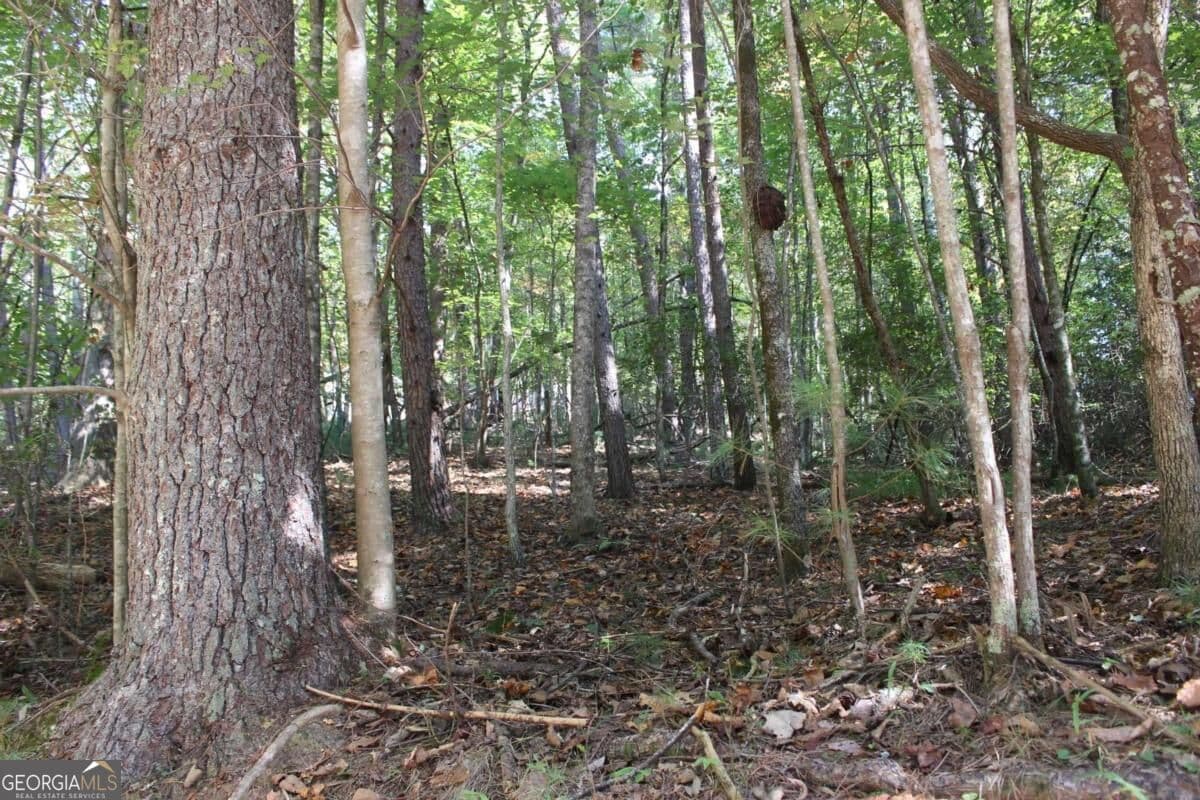 residential lot for sale at LOT 16R Leatherwood Mountain Road, Cherry Log, GA 30522 — photo 1 of 12