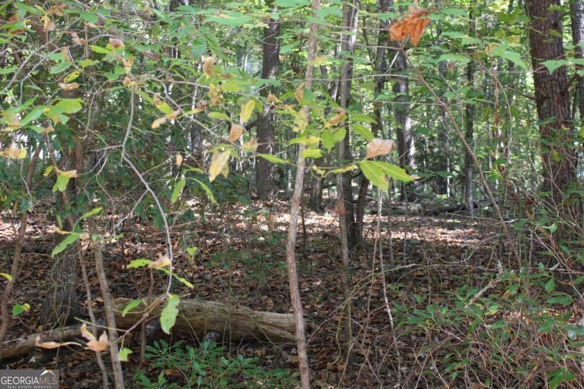 residential lot for sale at LOT 16R Leatherwood Mountain Road, Cherry Log, GA 30522 — photo 5