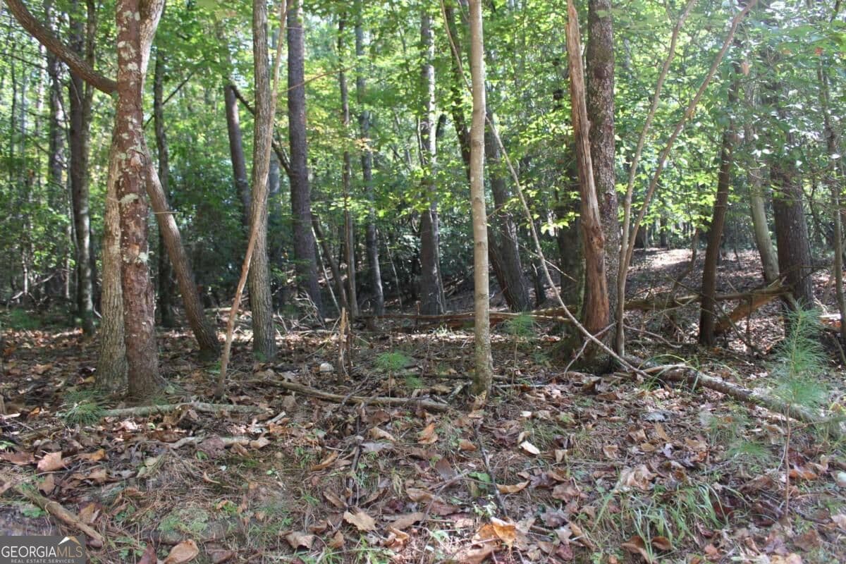 residential lot for sale at LOT 16R Leatherwood Mountain Road, Cherry Log, GA 30522 — photo 9
