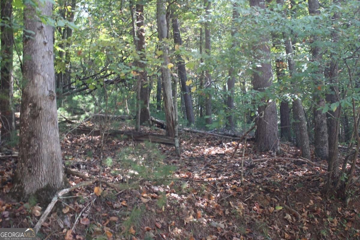 residential lot for sale at LOT 16R Leatherwood Mountain Road, Cherry Log, GA 30522 — photo 10