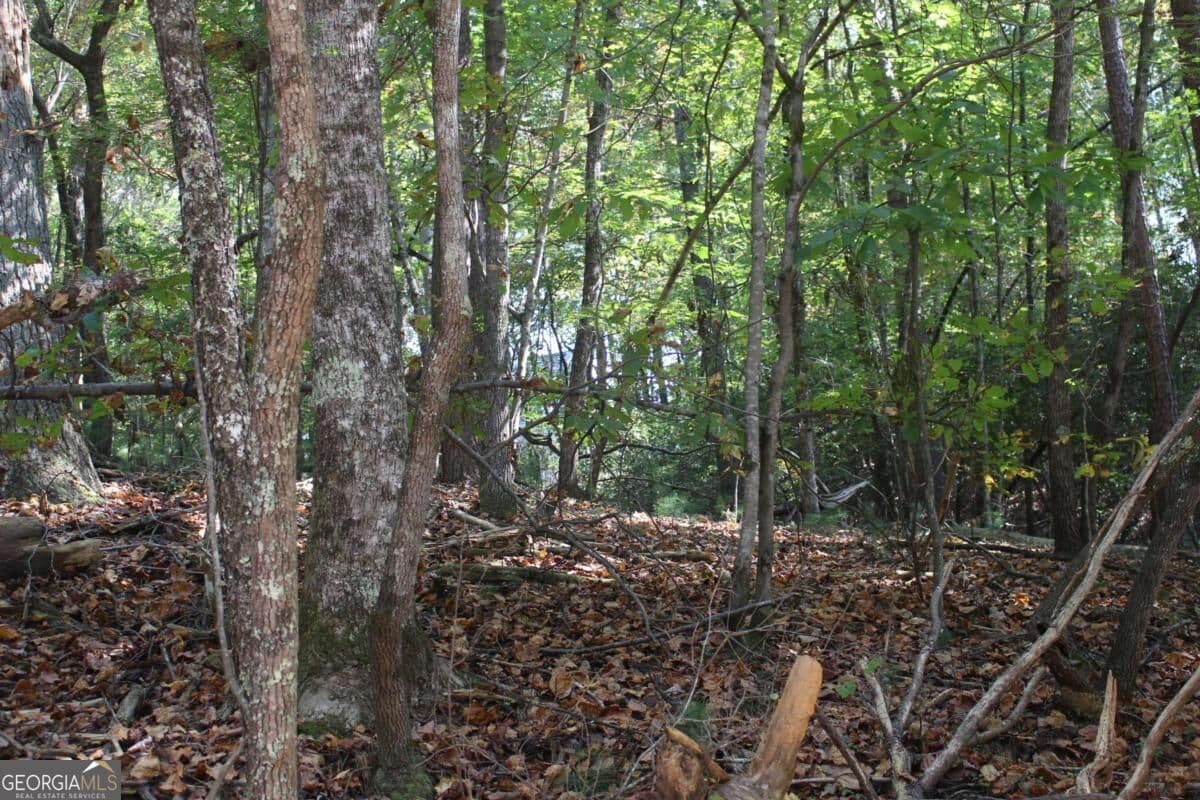 residential lot for sale at LOT 16R Leatherwood Mountain Road, Cherry Log, GA 30522 — photo 4