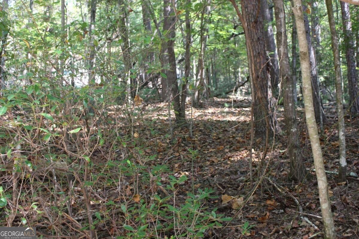 residential lot for sale at LOT 16R Leatherwood Mountain Road, Cherry Log, GA 30522 — photo 8