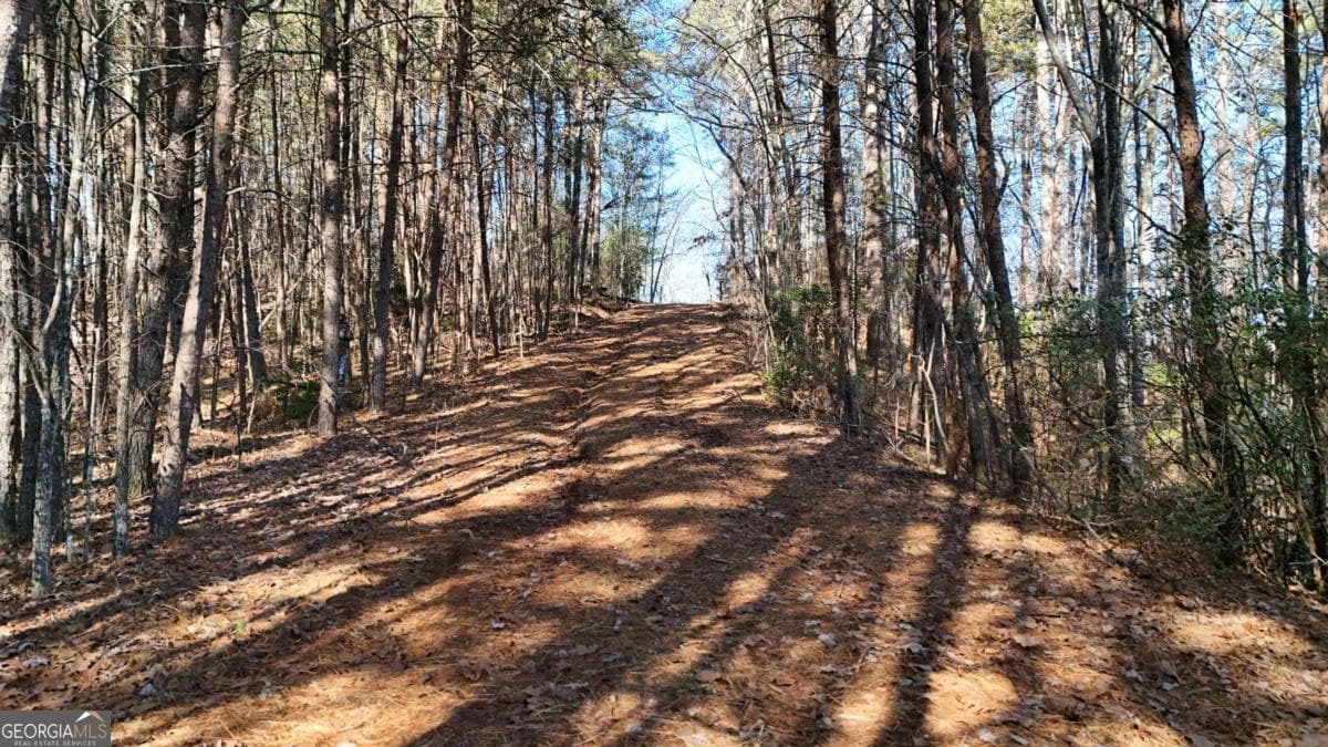 unimproved land for sale at LOT 1 Gold Valley Road, Sautee Nacoochee, GA 30571 — photo 2