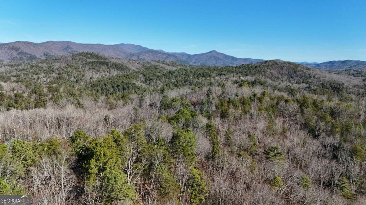 unimproved land for sale at LOT 1 Gold Valley Road, Sautee Nacoochee, GA 30571 — photo 6