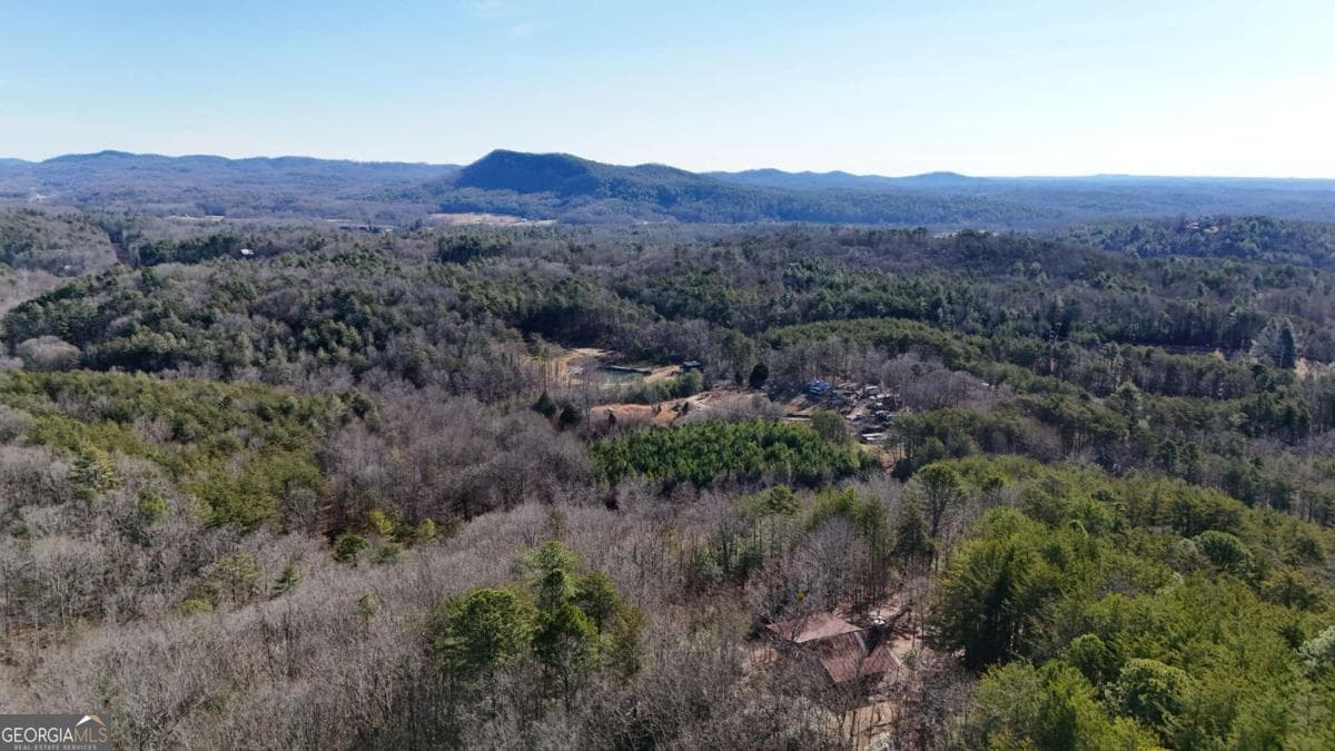 unimproved land for sale at LOT 1 Gold Valley Road, Sautee Nacoochee, GA 30571 — photo 7