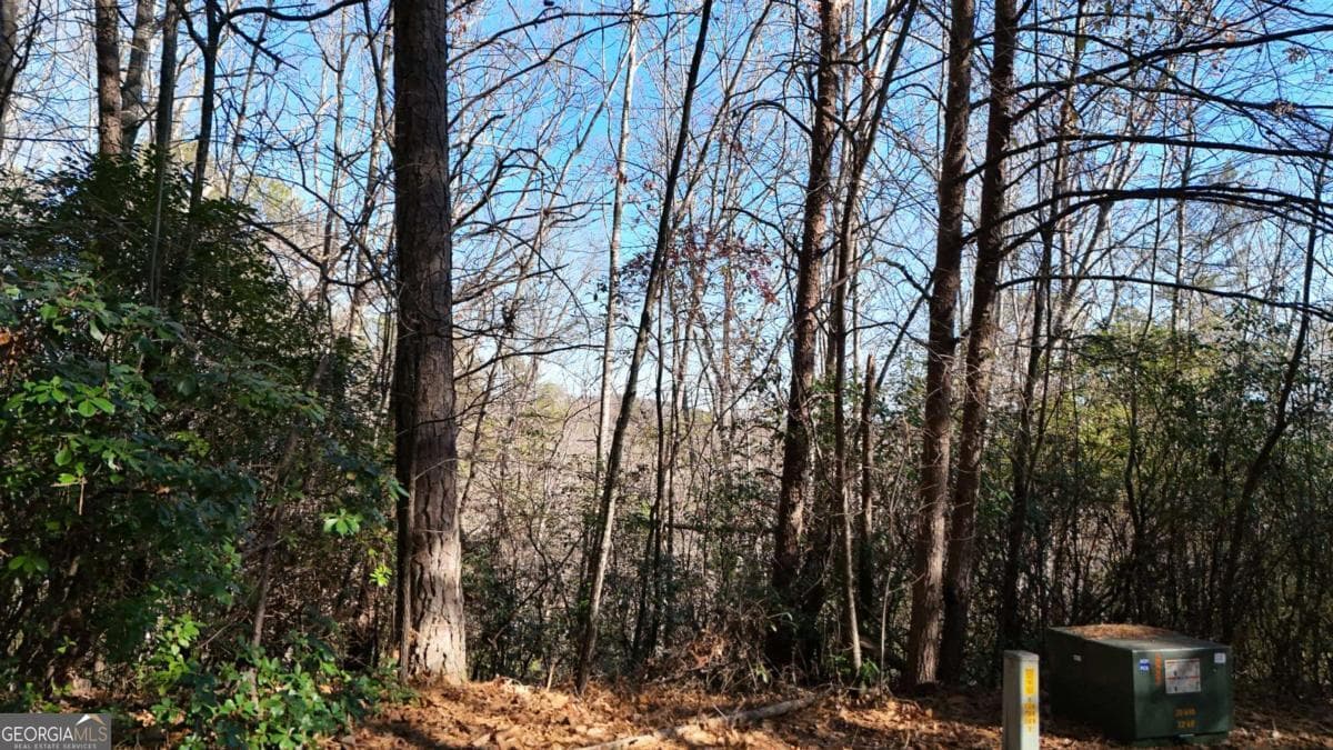 unimproved land for sale at LOT 1 Gold Valley Road, Sautee Nacoochee, GA 30571 — photo 3