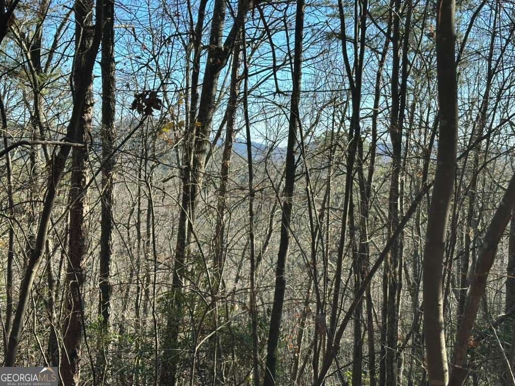 unimproved land for sale at LOT 1 Gold Valley Road, Sautee Nacoochee, GA 30571 — photo 5