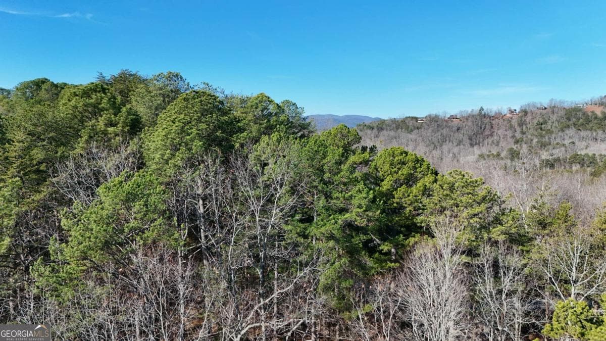 unimproved land for sale at LOT 1 Gold Valley Road, Sautee Nacoochee, GA 30571 — photo 10