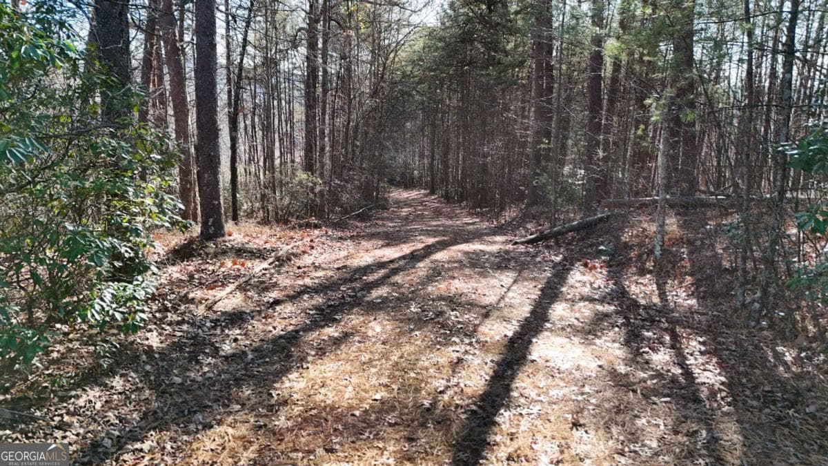 unimproved land for sale at LOT 1 Gold Valley Road, Sautee Nacoochee, GA 30571 — photo 4