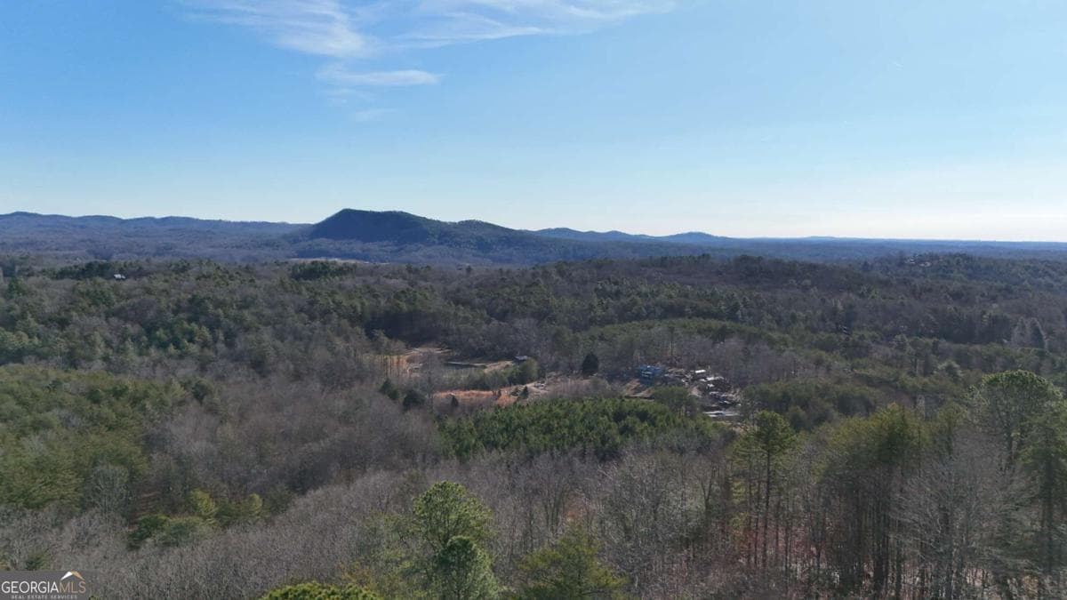 unimproved land for sale at LOT 1 Gold Valley Road, Sautee Nacoochee, GA 30571 — photo 8