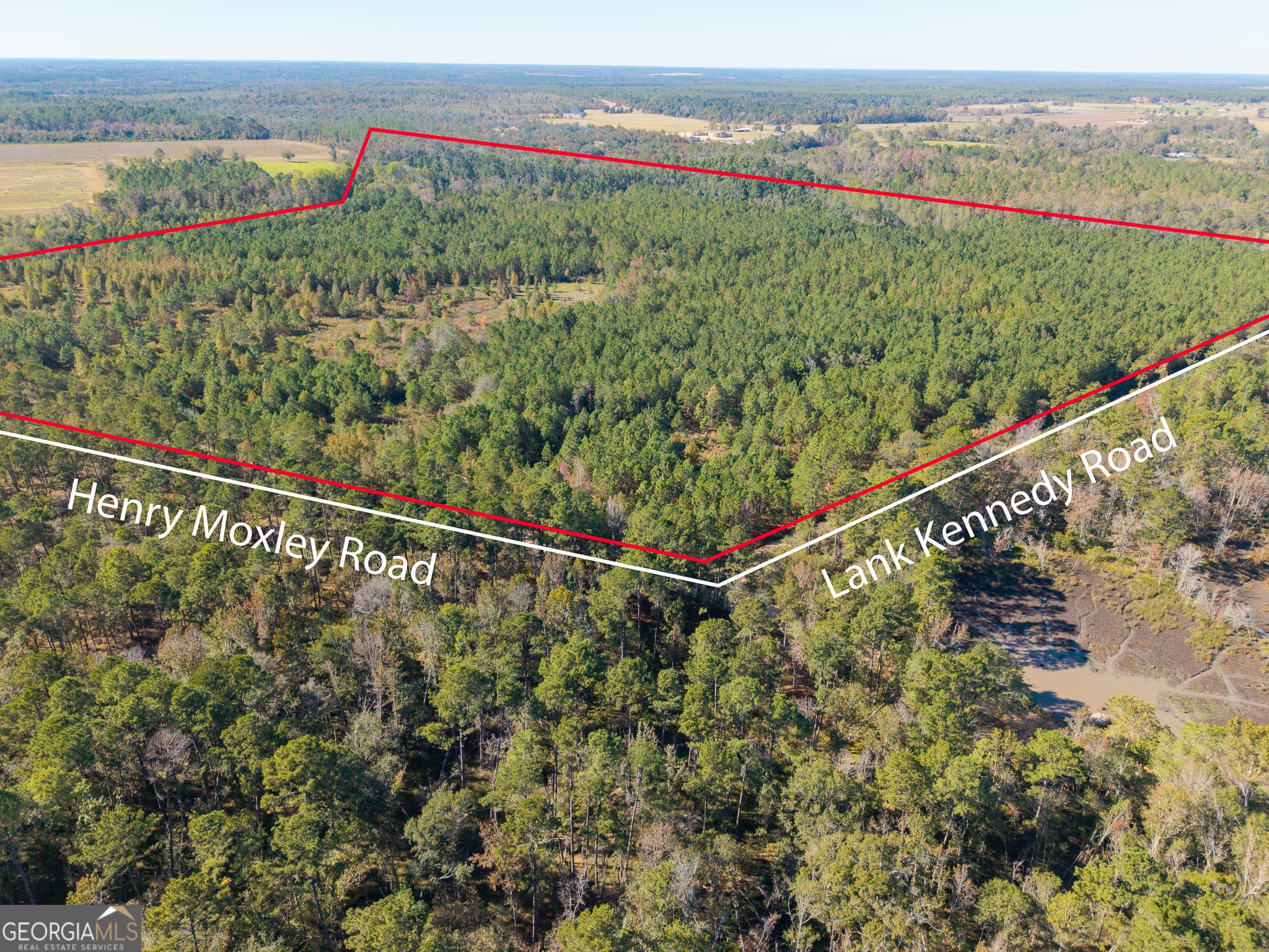 agriculture sold at 1 Henry Moxley Road, Cobbtown, GA 30420