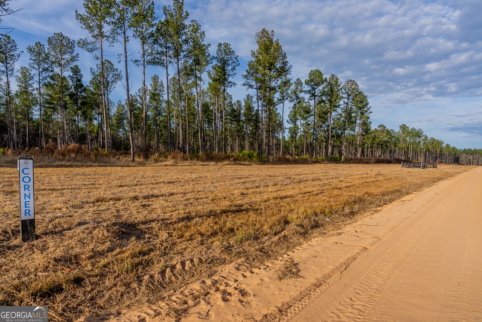 agriculture for sale at LOT 3 Arcola Road, Brooklet, GA 30415 — photo 2