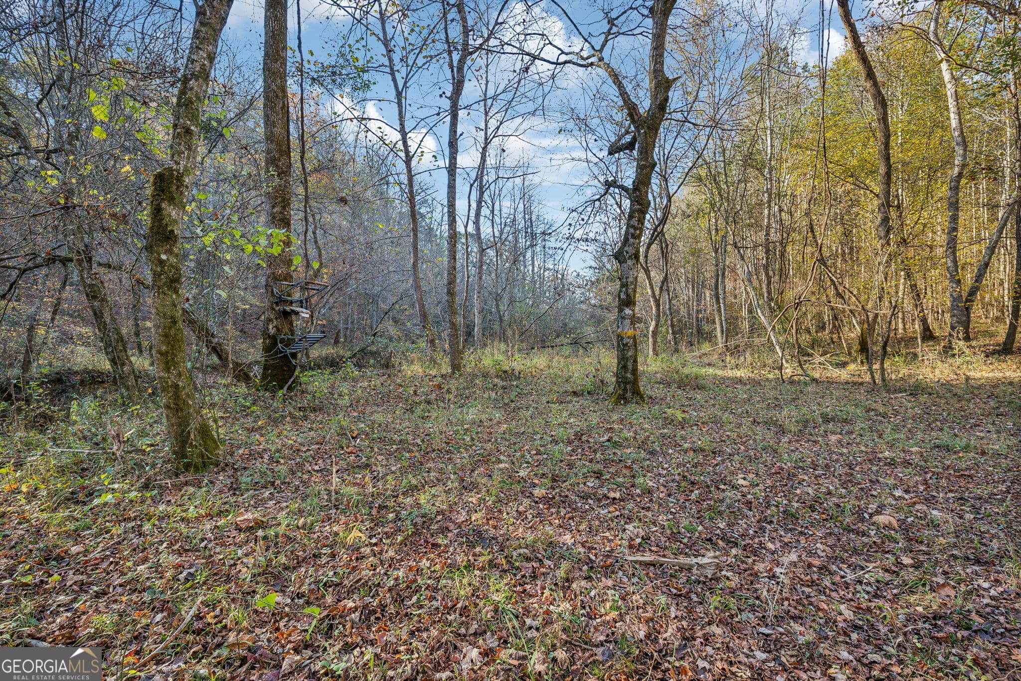 agriculture for sale at 1 Josh Ward Road, Summerville, GA 30747 — photo 6