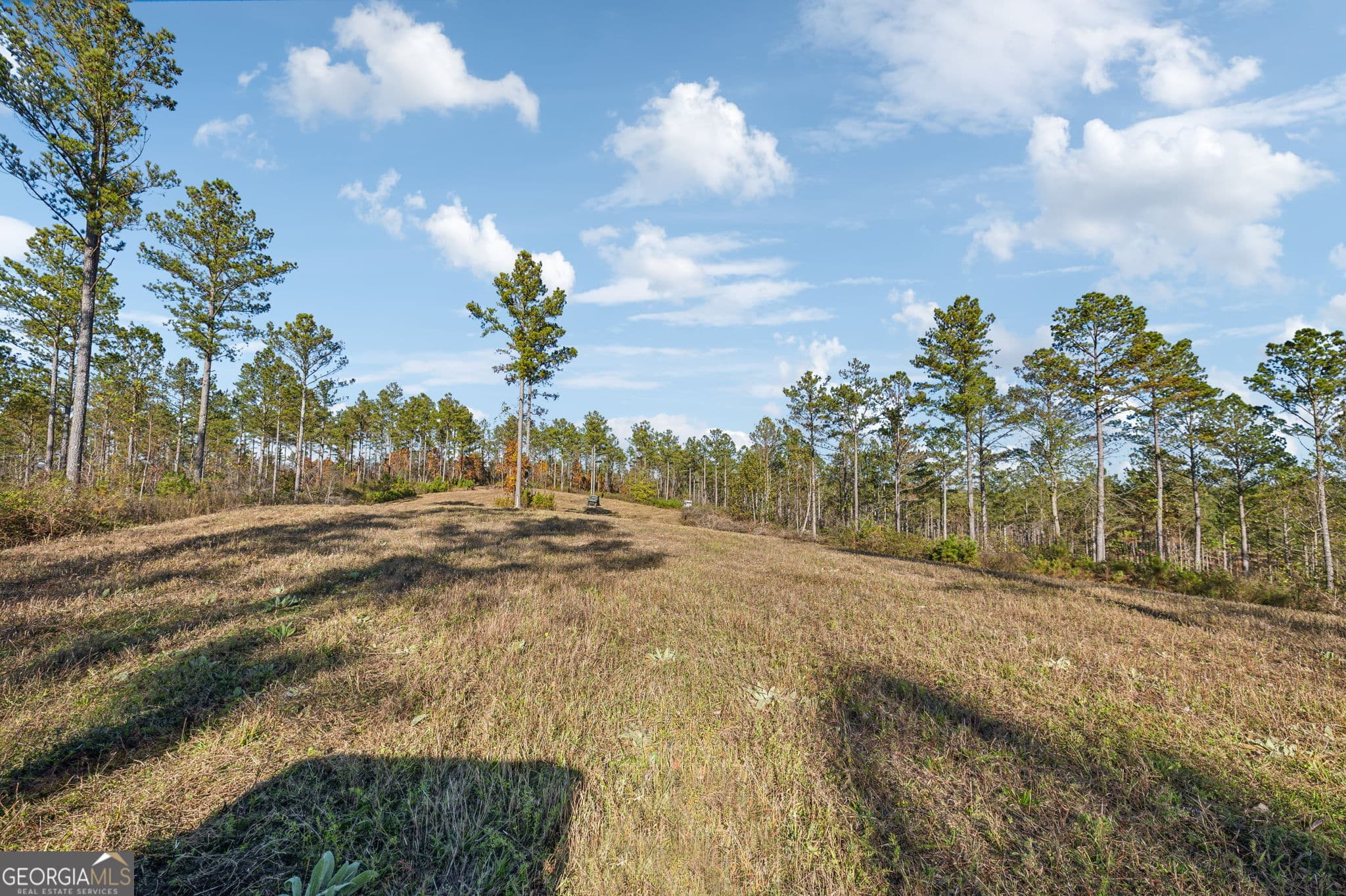 agriculture for sale at 1 Josh Ward Road, Summerville, GA 30747 — photo 7
